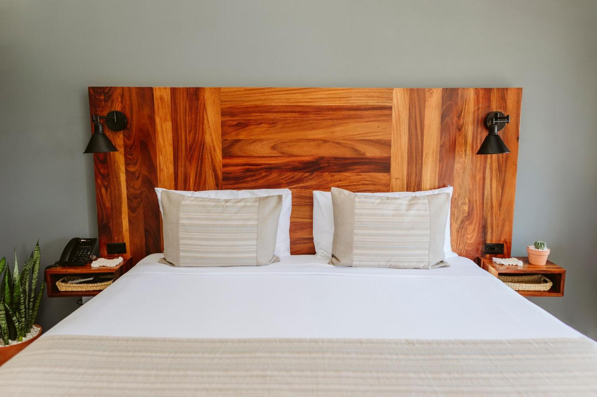 Six Two Four Urban Beach Hotel San José del Cabo Rum bild